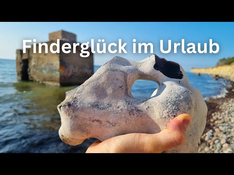 Ich hatte Finderglück - Fossilien suchen an der Ostsee