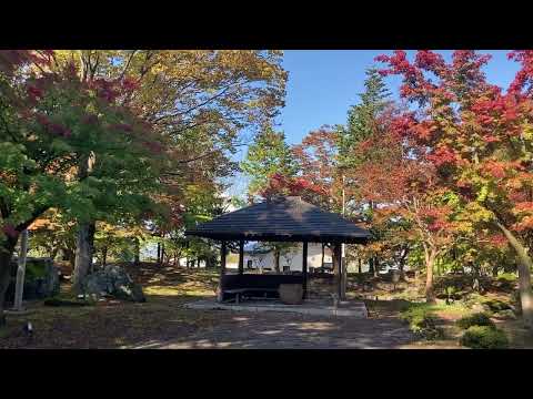 26 de outubro de 2023 Folhas de outono no Saruga Park Karesansui Garden [cidade de Hirakawa, província de Aomori]