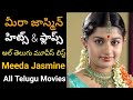 Meera Jasmine Hits And Flops Telugu Movies Meera Jasmine