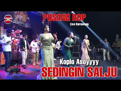 Enak Bener ❗❗❗ Sedingin Salju Versi Pusang ROP | Live Karawang