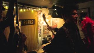 Tav Falco's Panther Burns