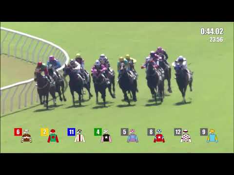 24/10/2021 (114) Good Buddy - Z Purton