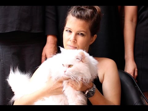 Half Girl - Girl in a Band (official)