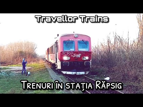 Trenuri în stația Răpsig (Linia 317: Arad - Ineu - Brad)