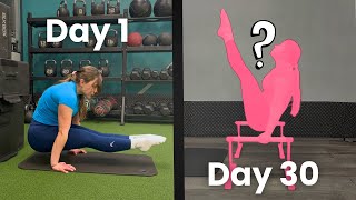 I Tried to Get the V-Sit in 30 Days
