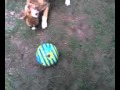 Sundar Meets Blues Clues Ball