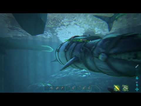 ARK: Survival Evolved breeding a basilosaurus