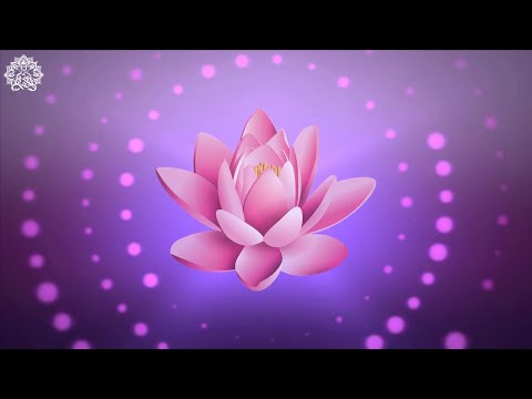 Release Inner Conflict & Struggle ✤ Anti Anxiety Cleanse ✤ Stop Overthinking, Worry & Stress