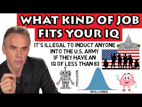 Jordan Peterson - What Kind Of Job Fits Your IQ