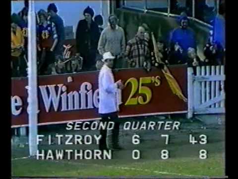 VFL R18 1981 - Fitzroy v Hawthorn
