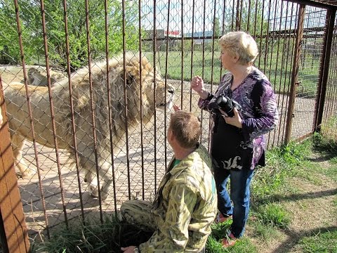 Наш первый день в парке львов Тайган