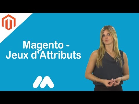 Magento Jeux d Attributs Tuto Magento Market Academy par Guillaume Sanchez