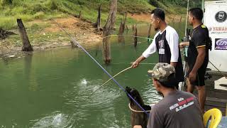 preview picture of video 'Pancing Ikan Lampan Kenyir'