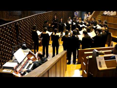 Exsultate Justi, Josu Elberdin