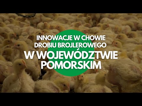 , title : 'Pomorska Wieś Innowacyjna - Innowacje w chowie drobiu brojlerowego w województwie pomorskim'