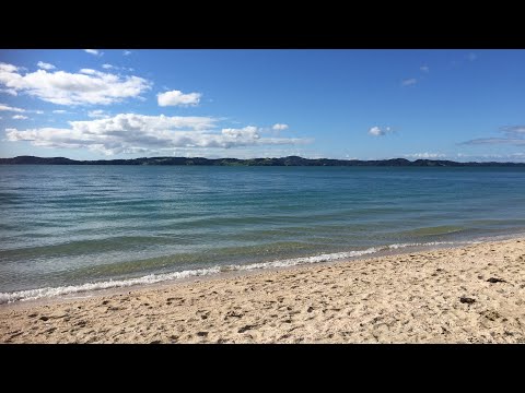 Summer Splendor at Maraetai Beach, Auckland