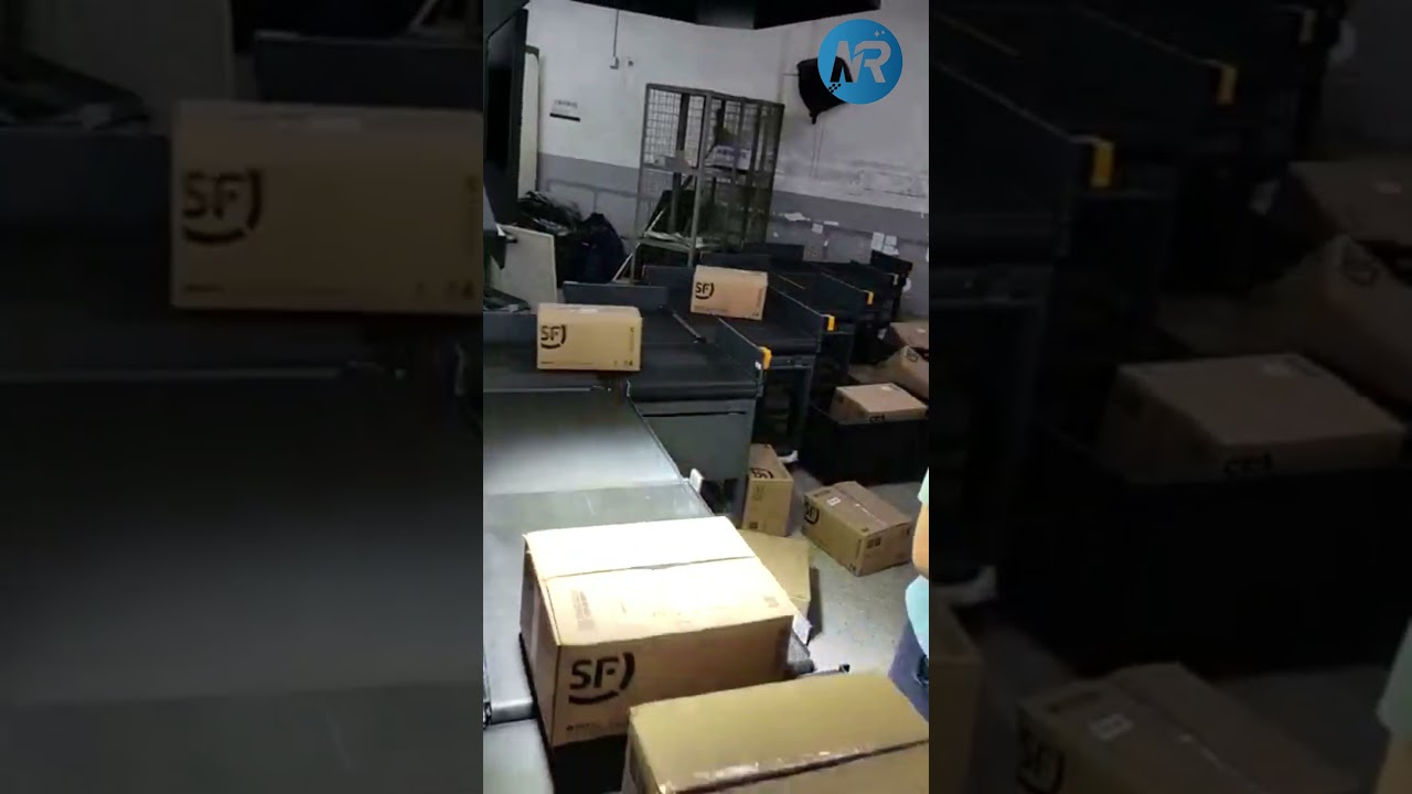 NetRay Z-Type parcel sorting system deployed for SF Express hub operations