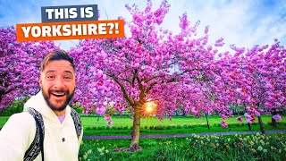 We Thought Harrogate Would Be Boring… We Were VERY Wrong! 😮