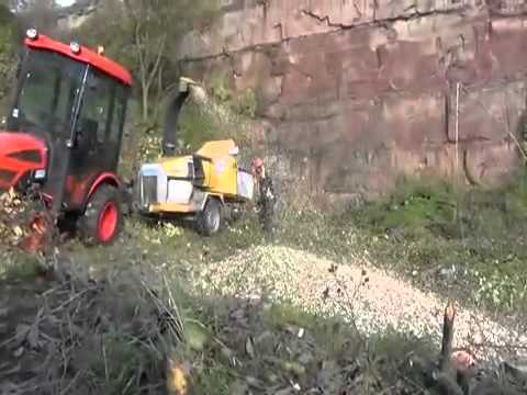 Trendelburg: Neuer Lebensraum für Schlingnattern bei Deisel