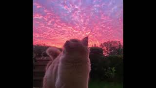 Be My Baby - Ariana Grande (edit audio)