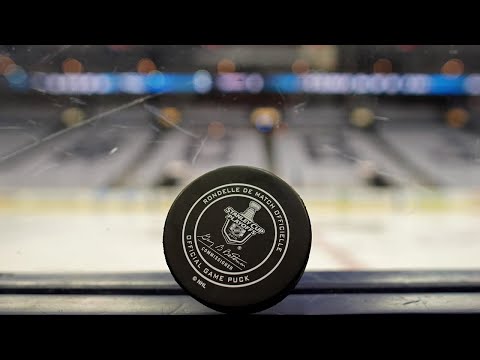 NHL round robin 2020 playoffs all goals