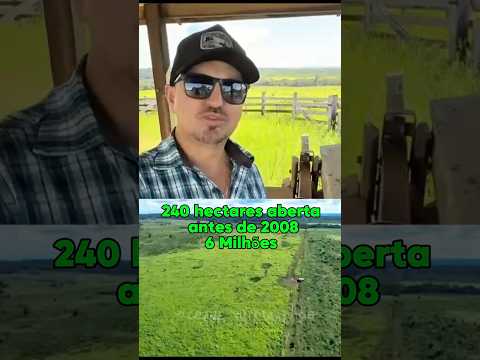 Fazendas a venda no Mato Grosso 66 984054915  #CompraDeFazendas  #MatoGrosso  #CezarAgroFazendas