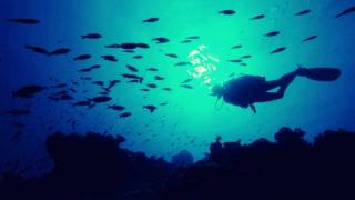 Ashra - Deep Distance