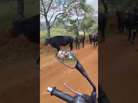 Serra da Canastra é um lugar maravilhoso . #viagem #natureza #serradacanastra #minasgerais
