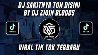 Download lagu DJ SAKITNYA TUH DISINI BY DJ ZIQIN BLOODS VIRAL TIK TOK TERBARU 2022 mp3