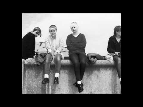 THE GAYLADS -Talk Too Much (1964)