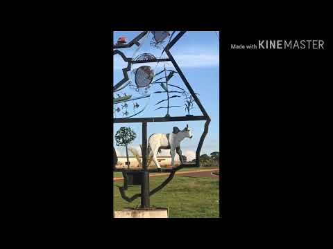 Elementos da linguagem visual: Pontos e Linhas.