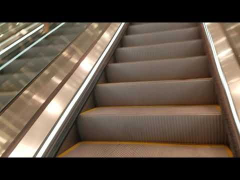 Escadas rolantes Schindler no H&M Dolphin Mall Doral FL