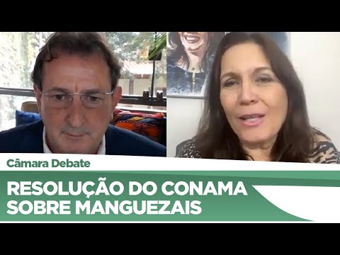 Deputados debatem resolução do Conama sobre manguezais - 05/11/20