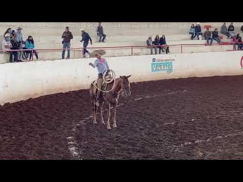 Alfredo Medina  "contra"  manganas a caballo