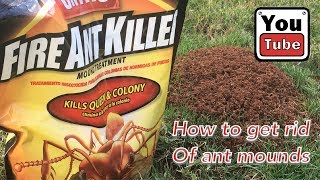 How to get rid of ant mounds