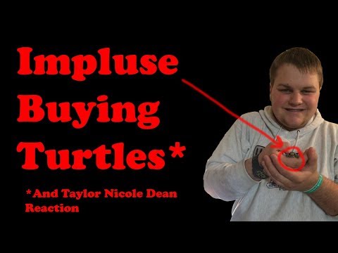 Snow Taylor Nicole Dean And Jonny Craig 9 - pin by taylor nicole on memes roblox memes roblox funny