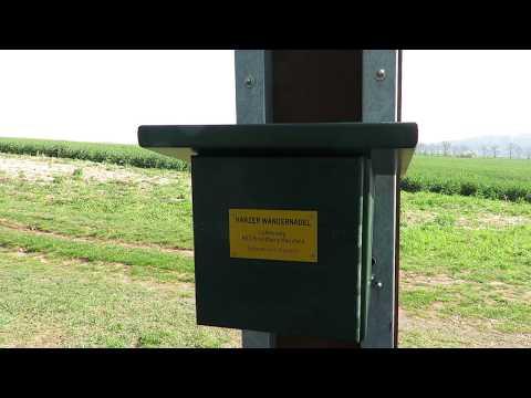 Stempelstelle NES Brandberg Mansfeld - Lutherweg - Harzer Wandernadel