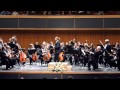 Allegro non troppo - Brahms Concerto in D major - part 1