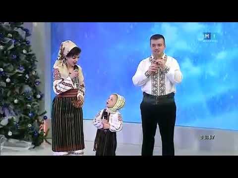 Florile dalbe, Domnului la picioare!