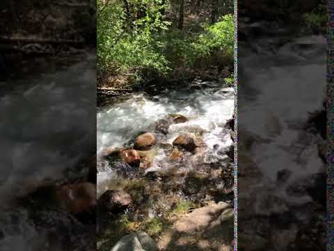 Lower campground roaring creek