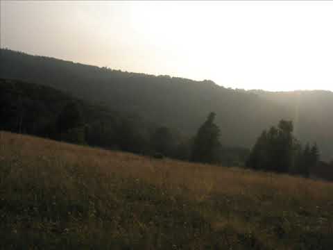 Maja Danilović - Po rastanku