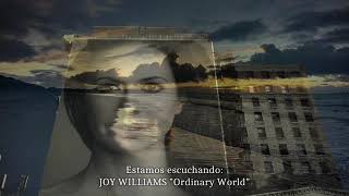 Joy Williams - Ordinary World