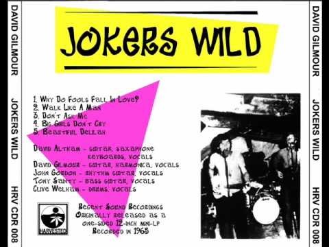 Jokers Wild - Part 2. (David Gilmour)