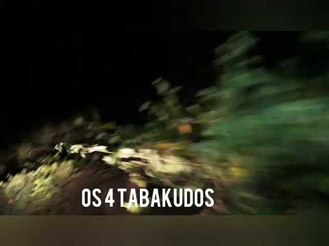 OS MISTÉRIOS DA MEIA-NOITE || O FANTASMA DA PORTEIRA || OS 4 TABAKUDOS