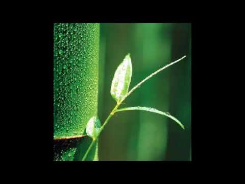 Daniel Stambler - How To Be A Forest Monk Or Nun In Tel Aviv / With The Help Of Ajahn Chah