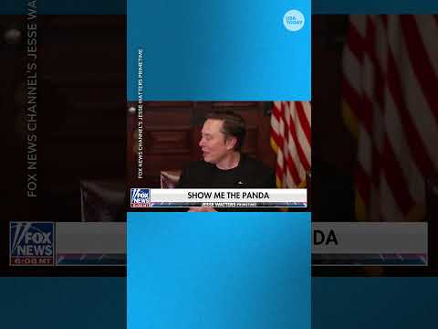 Elon Musk likens DOGE and federal grants to 'saving baby pandas' #Shorts