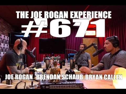 Joe Rogan Experience #671 - Brendan Schaub & Bryan Callen
