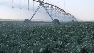 Vidéo sur le mécanisation de la secteur agricole en Afrique