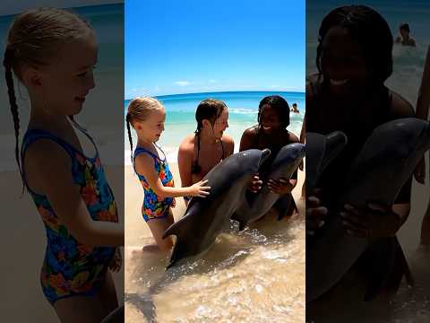 Baby Dolphins 🐬 Love ❤️ people on the beach funny #2025 #beach #dolphin #jessica #orca #ai ￼￼