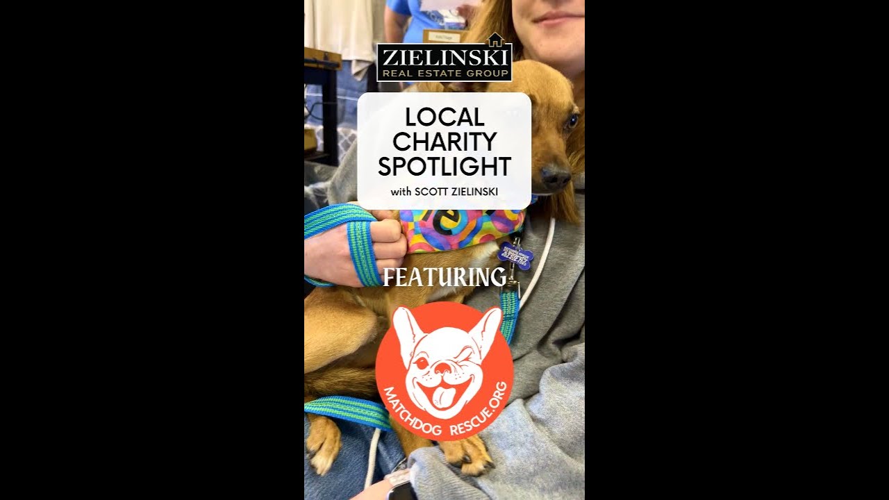 Local Charity Spotlight - MatchDog Rescue in Atco, NJ